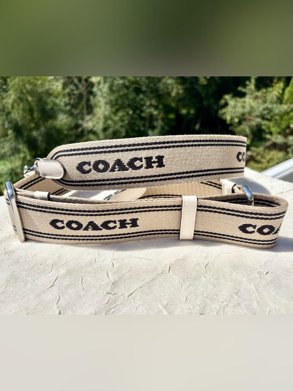 COACH Tonal Signature Webbing Strap